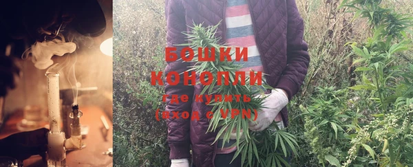 mdpv Козловка