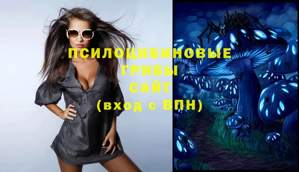 mdpv Козловка