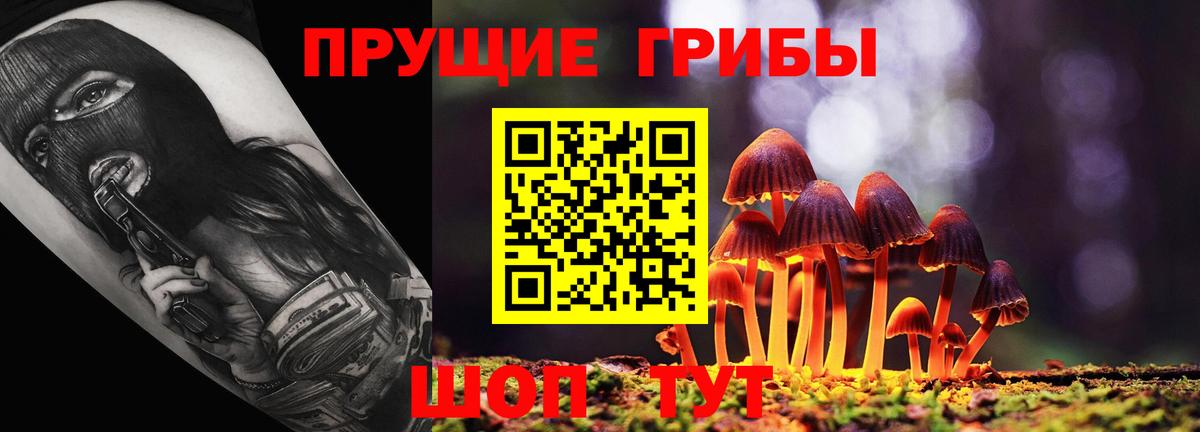 Углич  Псилоцибиновые грибы Cubensis  сколько стоит  Вход с VPN 