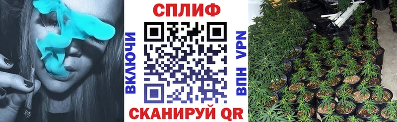 Бошки марихуана индика Углич